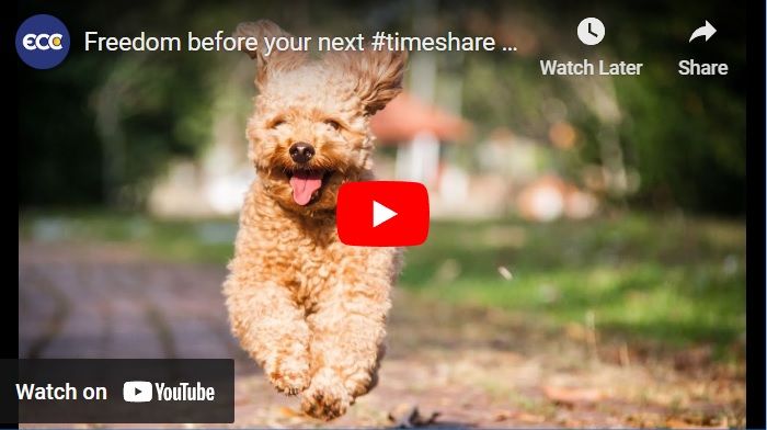 Freedom before next timeshare maintenance bill youtube