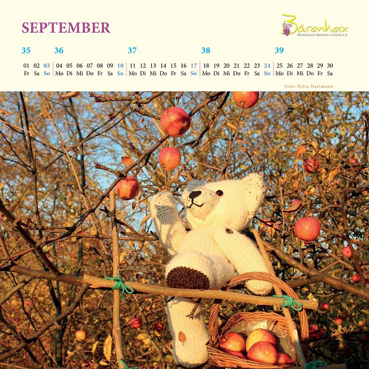 Mit Bärenherz durchs Jahr -  Der neue Bärenherz-Kalender ist da