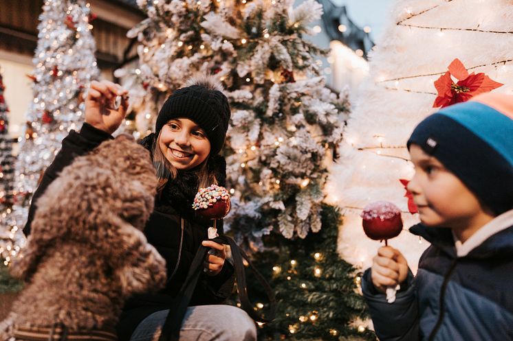 Kungsbacka julmarknad