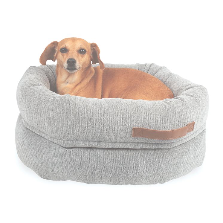 144326_Basic WellB orthopedic donut bed grey_dog-2.jpg