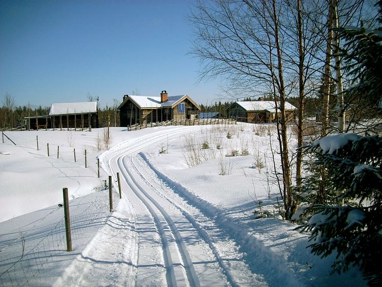 Längdskidsåkning i Harsa