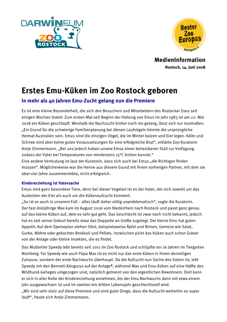 Erstes Emu-Küken im Zoo Rostock geboren
