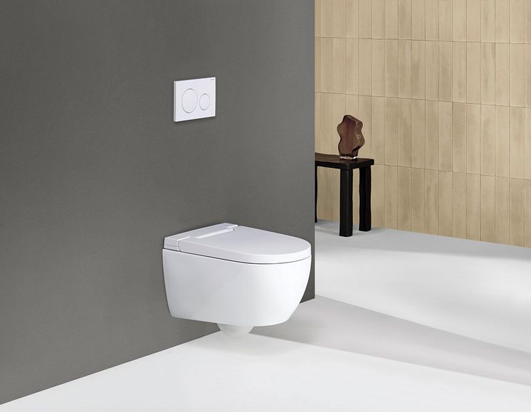 2024_Geberit AquaClean Alba_Private_Sigma20_grey_deco_Original.jpeg