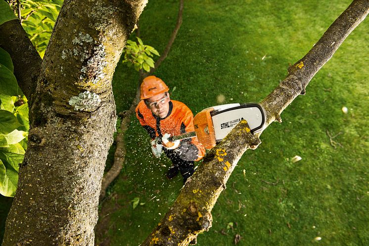 STIHL STANGSAV