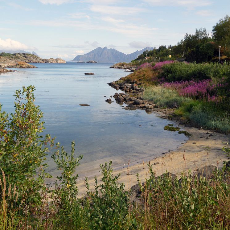 Strand på Austvågøy