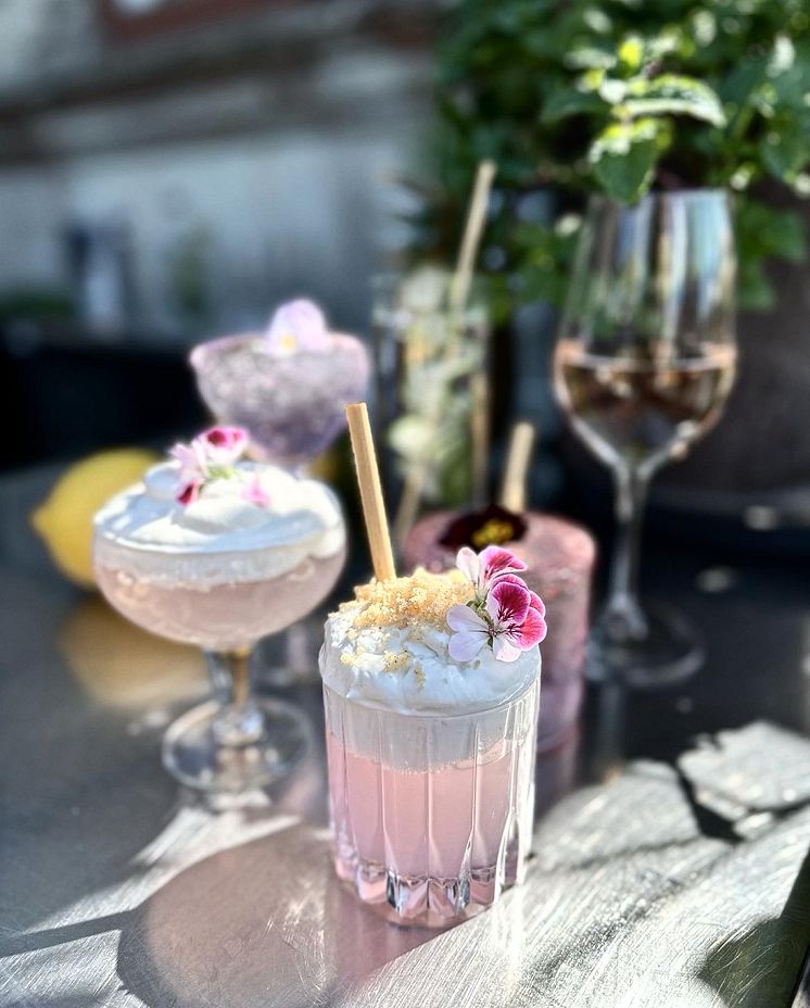 Görvälns Slott - Rabarberdrink