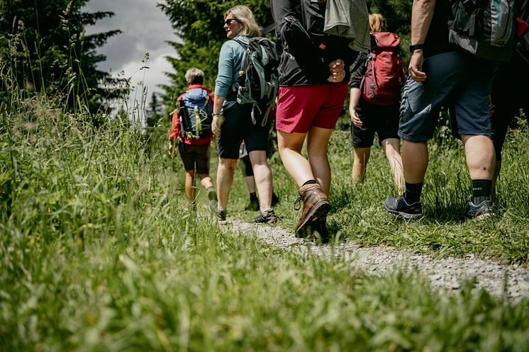 Wanderung in der Gruppe_Foto TVE_Dirk_Rueckschloss