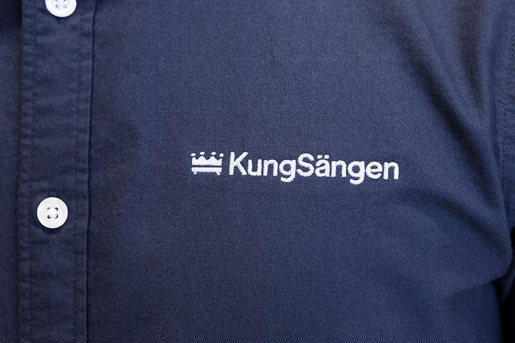 KungSangen koncept