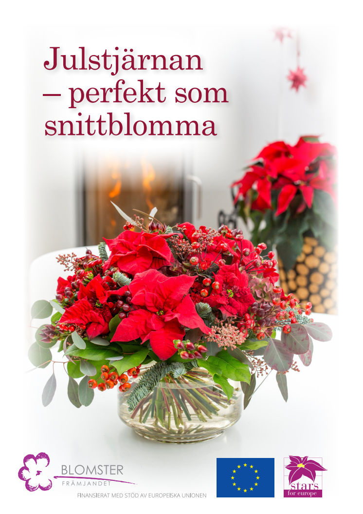 Julstjärneposter om snittblommor för egen utskrift.