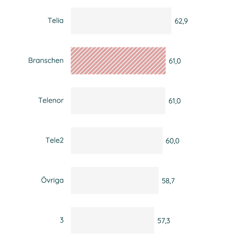 Företagskunder Hållbarhetsindex