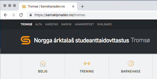 Samisk navn på nettsiden
