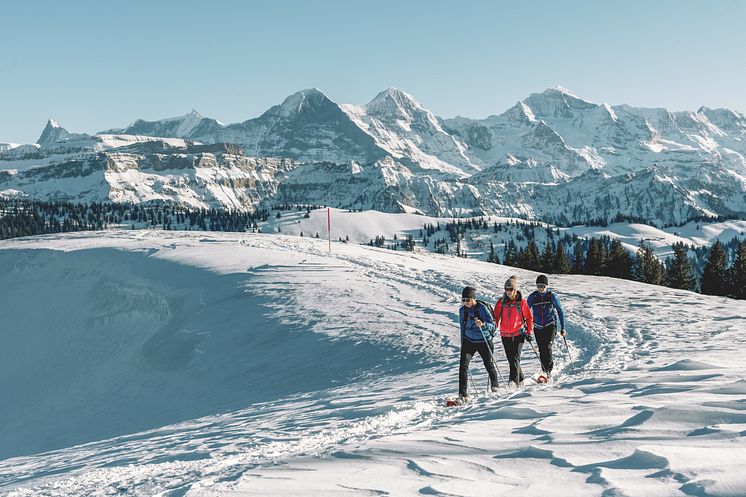 BE_Lombachalp_Drei Schneeschuhlaeufer auf dem Hoechst. Blick auf Dreigestirn Eiger, Moench und Jungfrau © Switzerland Tourism : Lorenz Richard