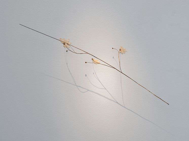 Charlotta Östlund Arrow, 2018