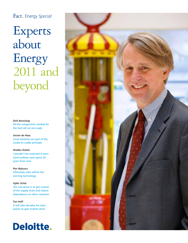 Experts about Energy 2011 and Beyond