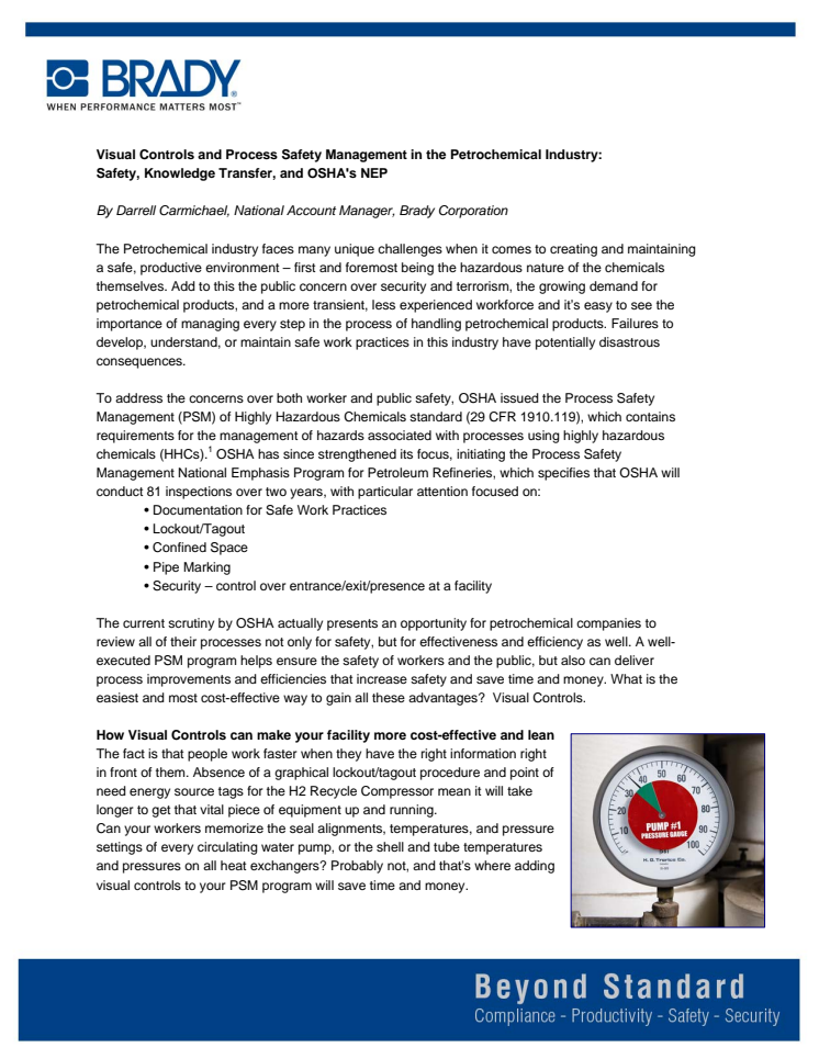 Visual Controls and Process Safety Management in the Petrochemical Industry: Safety, Knowledge Transfer, and OSHA's NEP