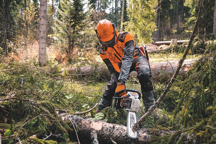 STIHL motorsåg MS 462 – från 0 till 100 på 0,3 sekunder