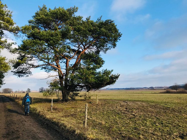 Ortolanrundweg_C_TMB_Fotoarchiv_Birgit_Kunkel