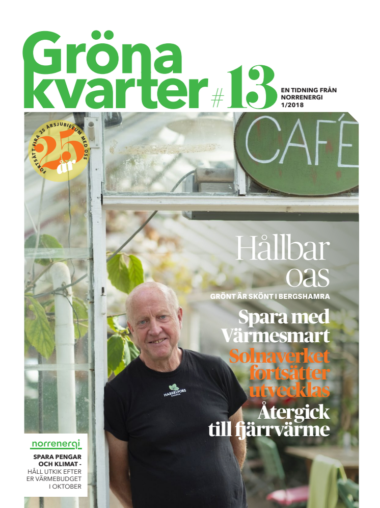 Gröna kvarter, nr 13
