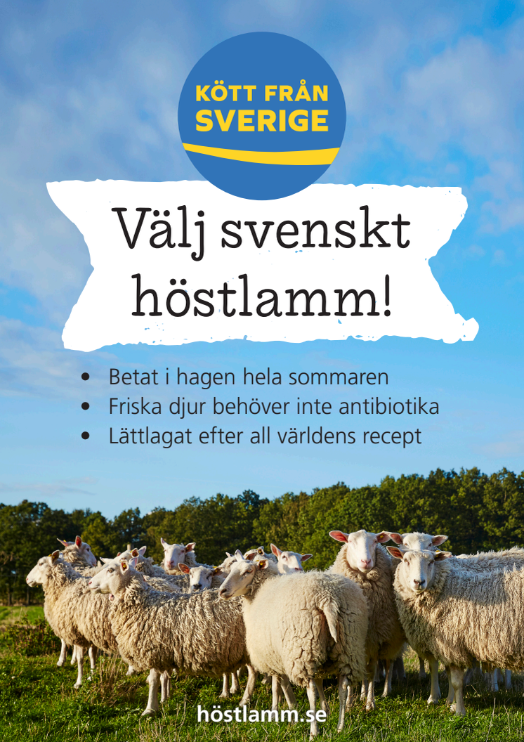 Kampanj #Höstlamm 2018, original butiksmaterial