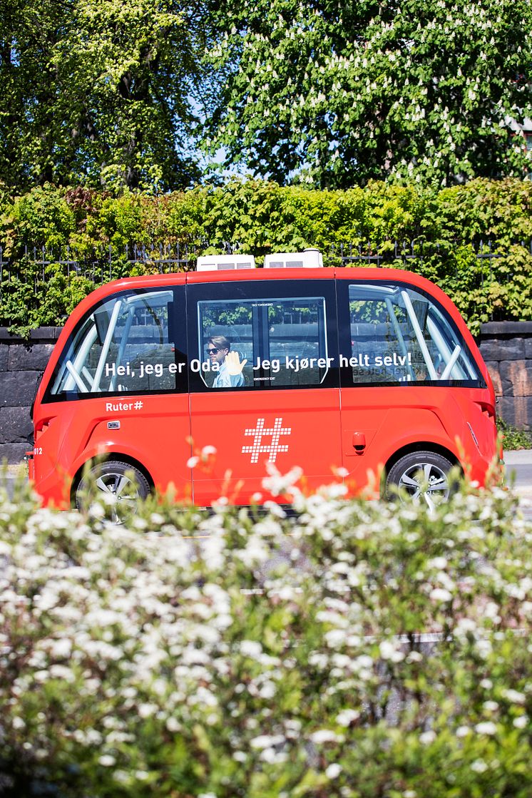 Bilde av selvkjørende buss på Akershusstranda