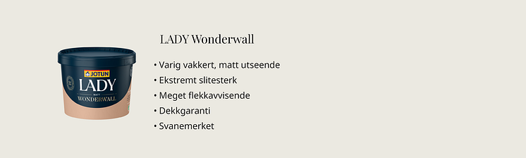 LADY Wonderwall 1000x300.png