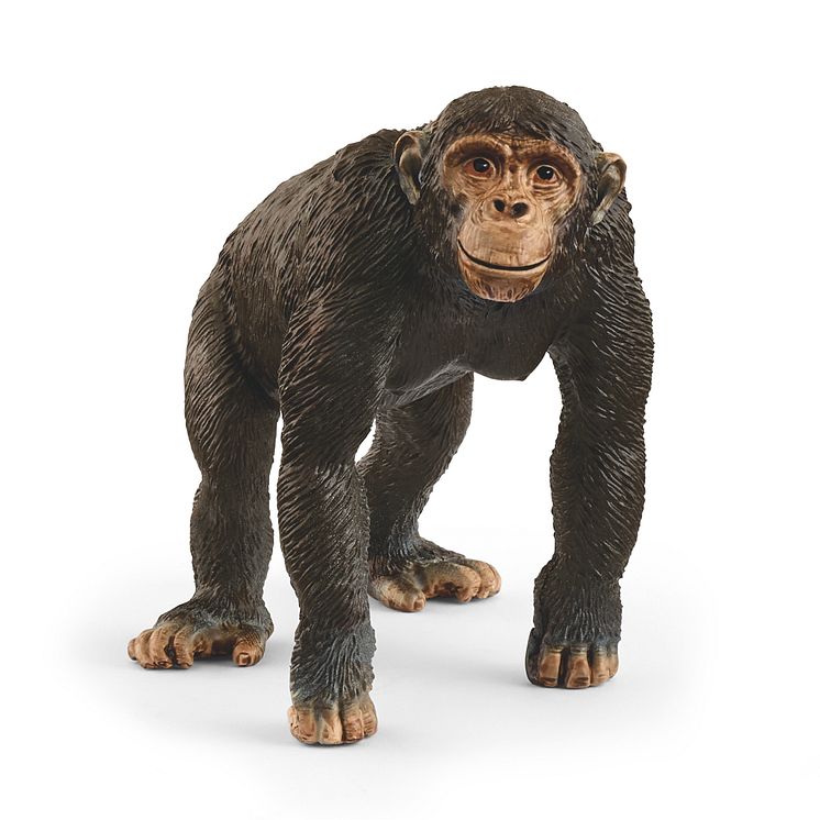 14883_Wild Life_Schimpanse_(c)schleich®
