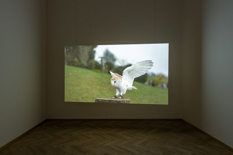 Jeremy Deller, English Magic, 2013
