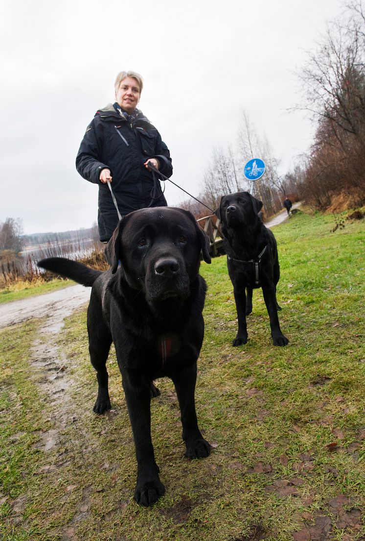 Terapihundarna Jack och Pepper prisas