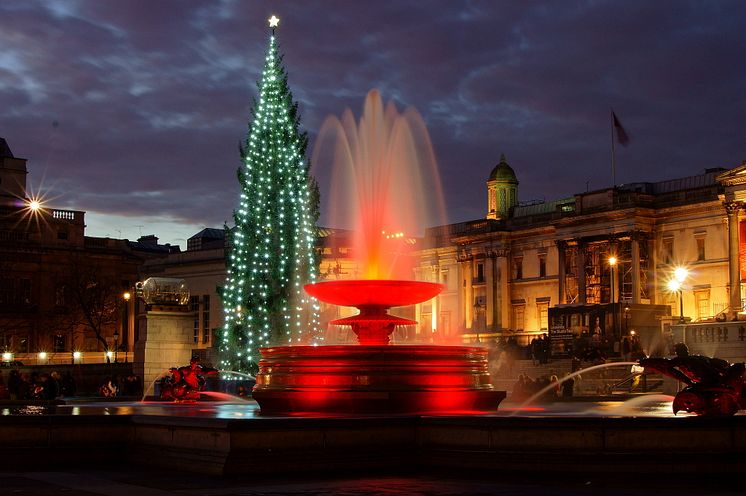 Norwegian Christmas tree at Trafalgar Square - Photo - Peter Trimming