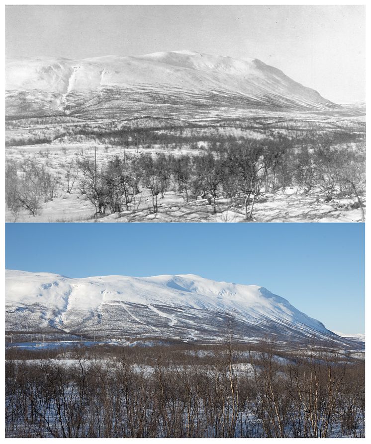 Fjället Nuolja i Abisko i vinterskrud.