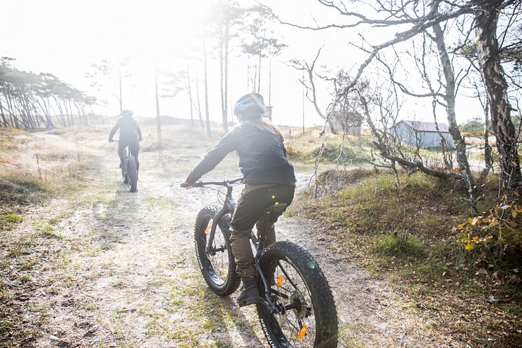 Halland Fatbike Foto Villa Surf garden 1