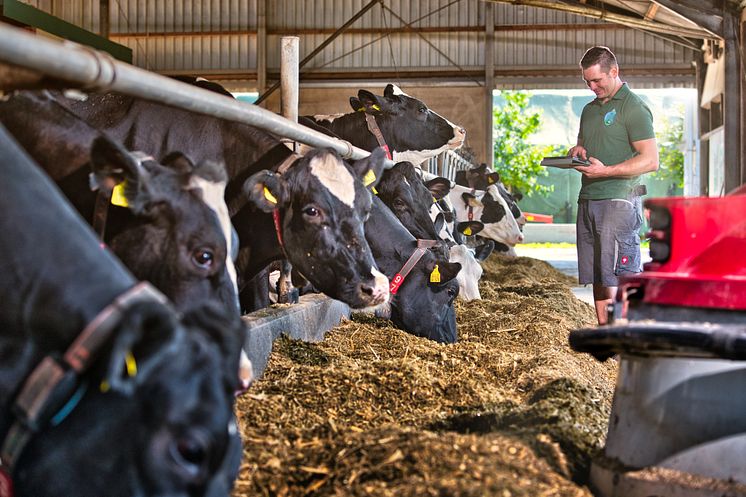 Arla Landwirt Kevin Anhamm vom Niederrhein (NRW) im Stall 