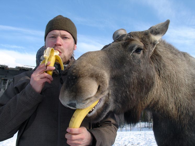 Martin Emtenäs. Foto: Jari Tarvainen/SVT - Fri att använda för denna föreläsning