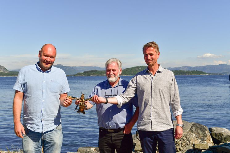 Norwegian Lobsterfarm and Green Mountain