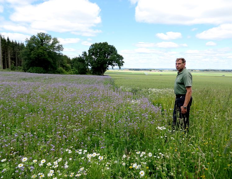 Årets Pollinatör Niclas Malm 