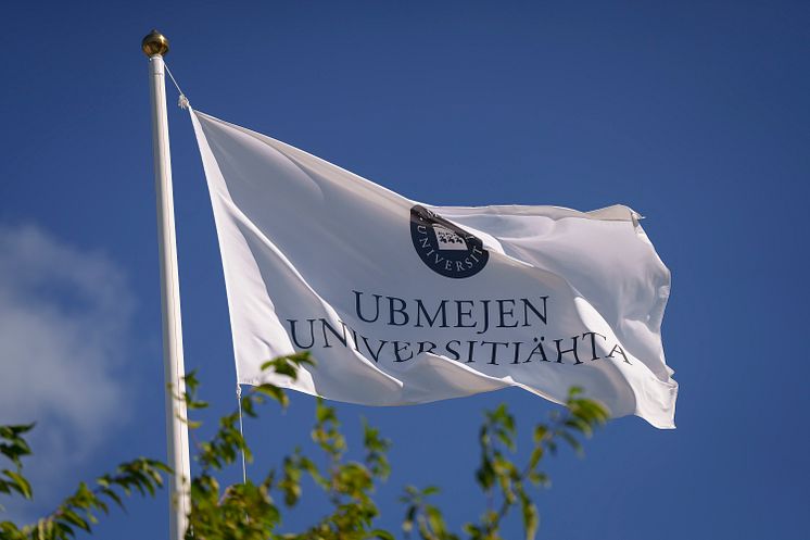 Flagga utanför Umeå universitet - Campus Umeå