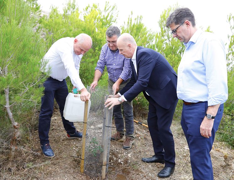 Tree planting_L-R_Sebastian Ebel, Joan Simonet Pons, Thomas Ellerbeck, Jaume Bauzà Mayol