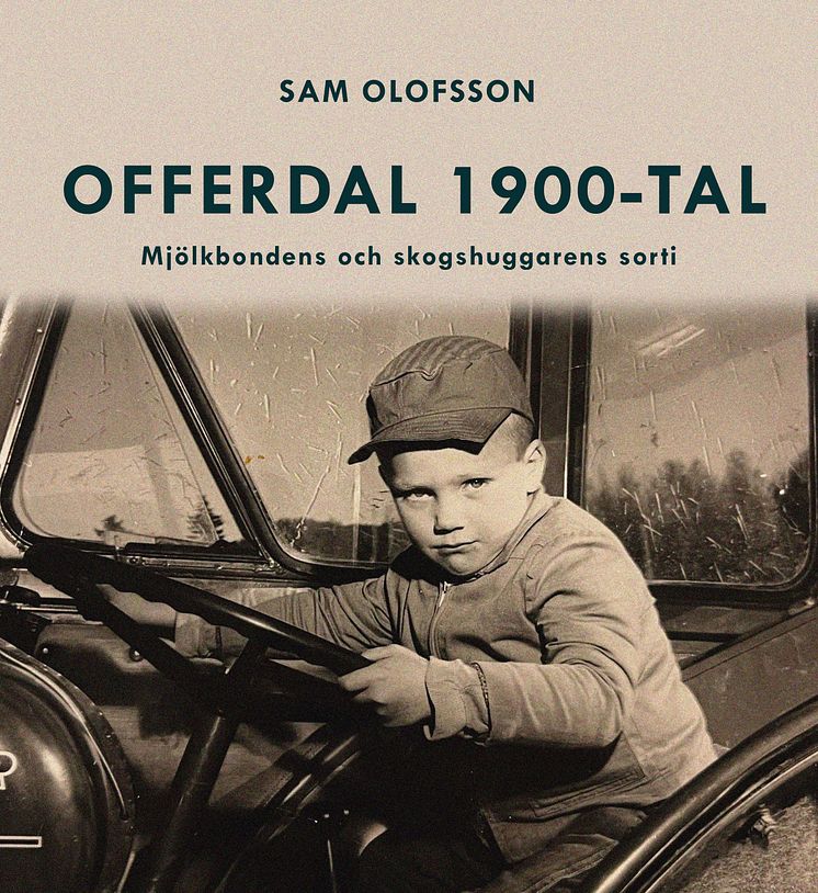 Offerdal 1900-tal hög.jpg