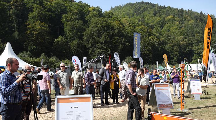 Ausstellungsständen auf der Wiese, Forest Romania