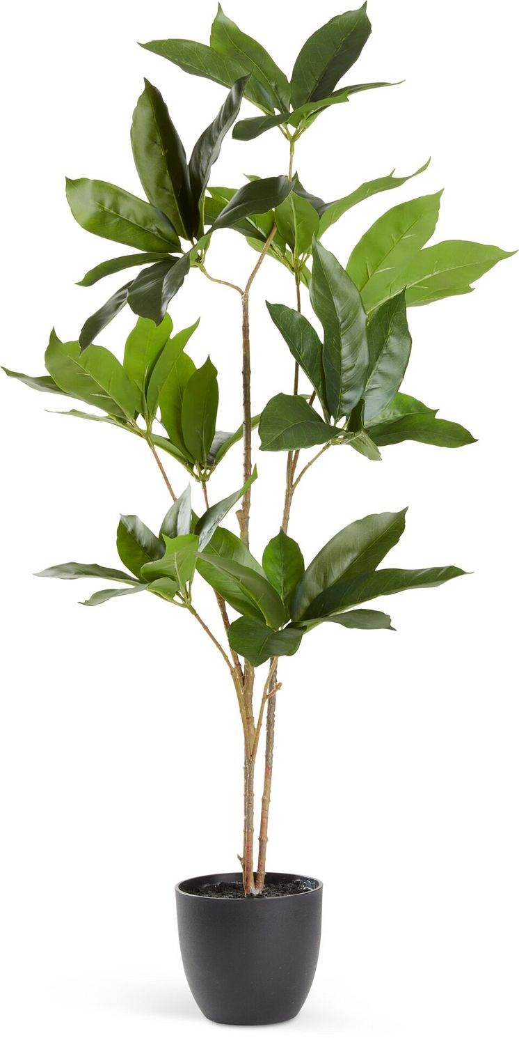 Kunstig plante TRISTAN H90cm (225 DKK).jpg