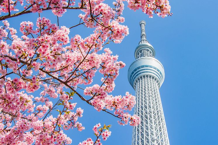 Capture your memories of TOKYO SKYTREE