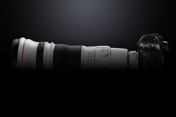 EOS 1DX_MKII EF 400mm F2.8 BK BEAUTY LEFT