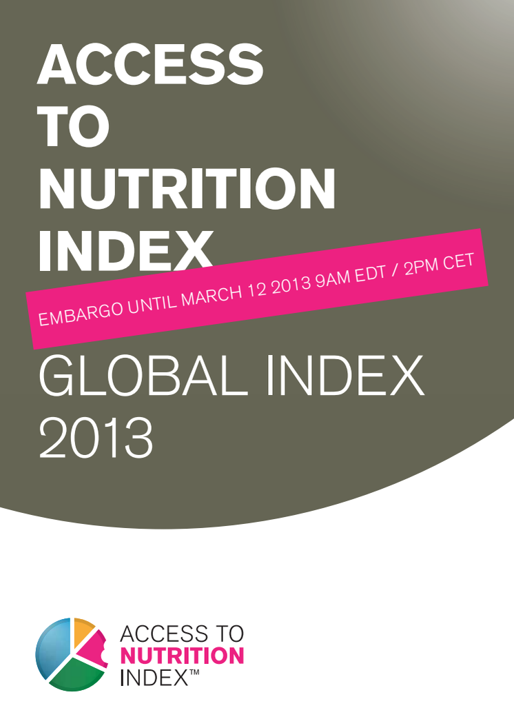 ATNI Global Index Report 2013