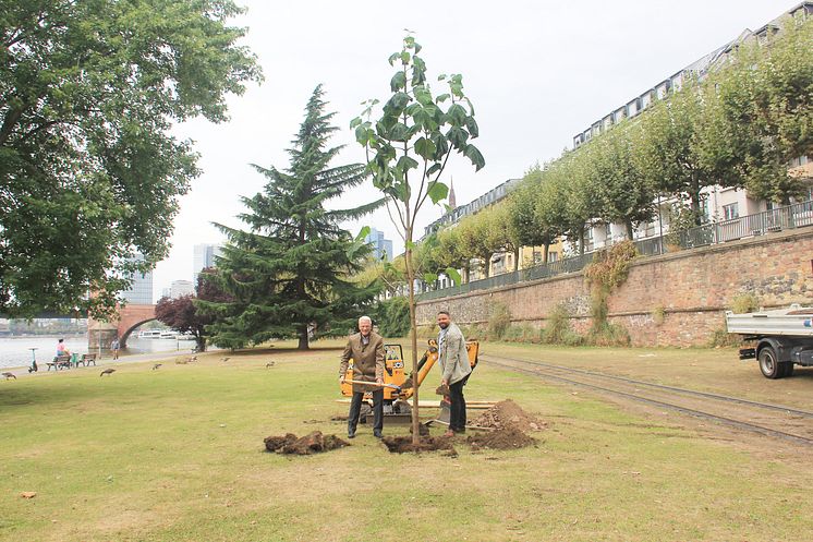 Pressefoto Zurich Baum-Pflanz-Aktion 2