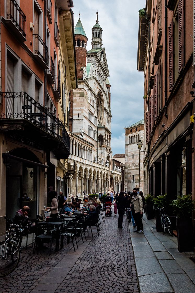 pexels-alessandro-bajo-8006447