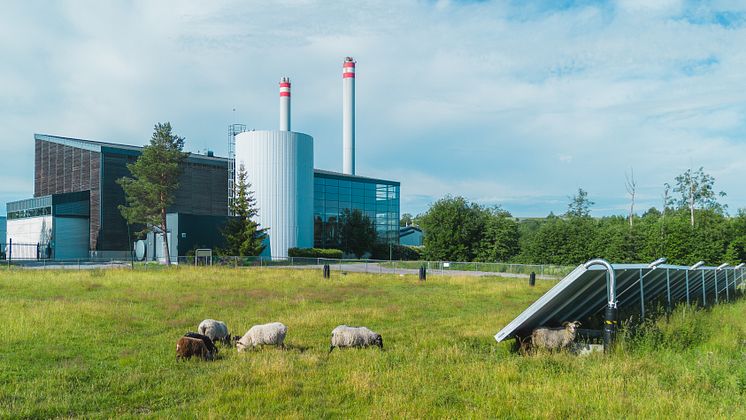 Norges første storskala solvarmeanlegg finnes i Akershus EnergiPark ved Lillestrøm. Nærmere 13000 kvm solfangere er utplassert