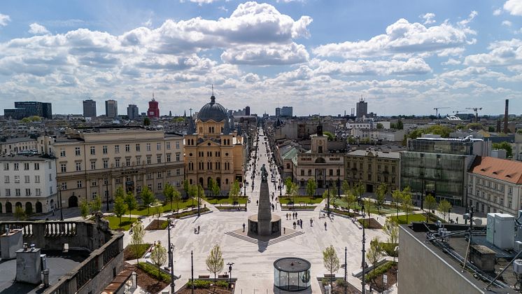 Wolności square greening in Łódź