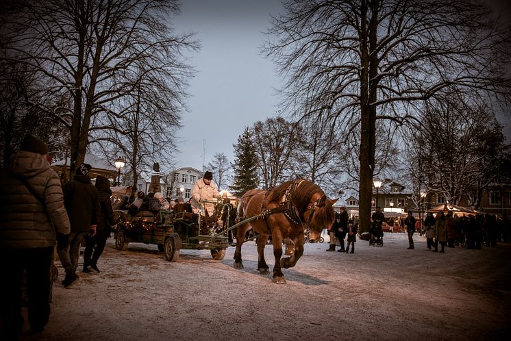 Julmarknad Säter 2019-webb-45.jpg