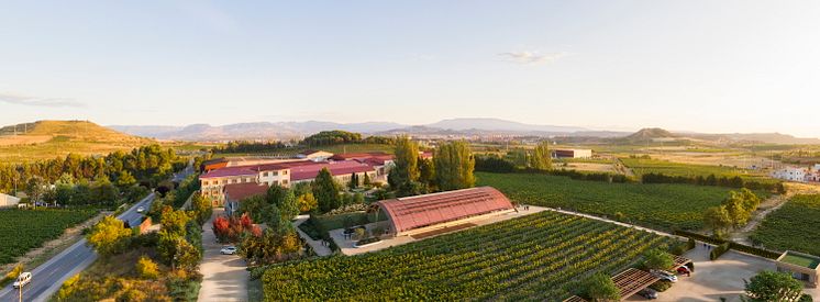 Vista panorámica Bodegas Faustino