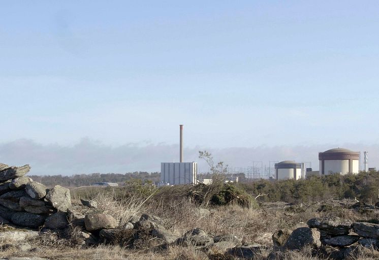 Carl Henry Hugosson, Ringhals Revisited, video, palissadstängsel, betong och taggtråd, 2021.